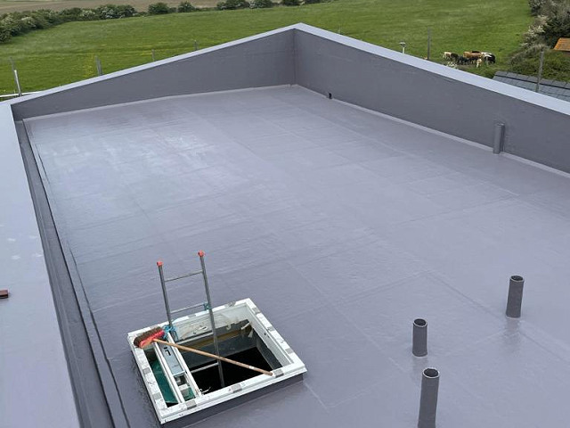 Poly Roof main roof